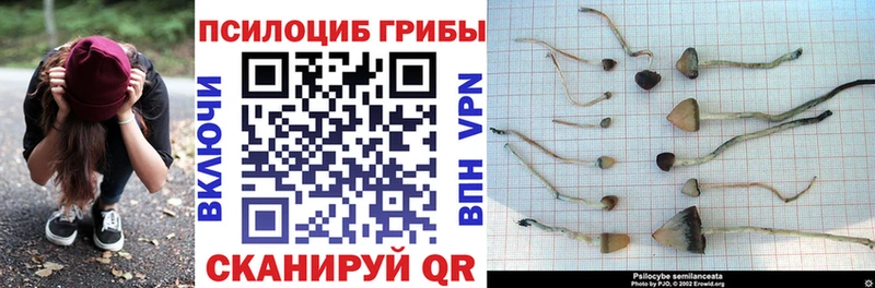 что такое наркотик  Неман  Псилоцибиновые грибы мицелий 